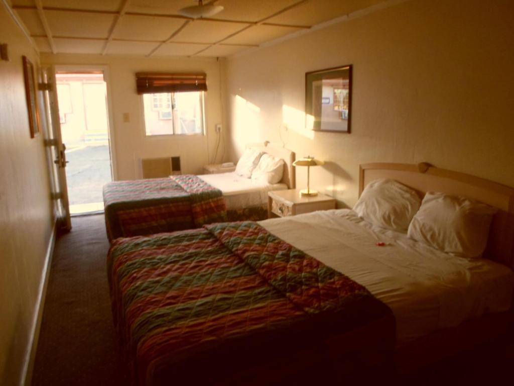 Desert Moon Motel Las Vegas Rum bild